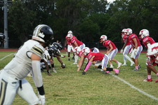 Enlarge photo 201