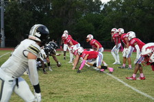 Enlarge photo 203