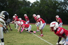 Enlarge photo 206