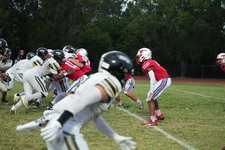 Enlarge photo 213