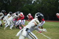 Enlarge photo 214
