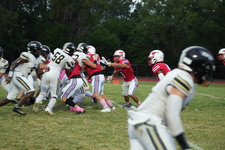 Enlarge photo 215