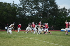 Enlarge photo 222