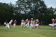 Enlarge photo 221