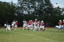 Enlarge photo 224