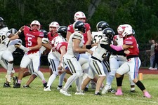 Enlarge photo 223