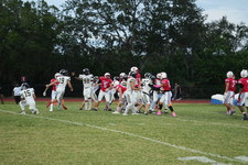Enlarge photo 225