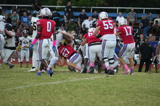 Enlarge photo 246