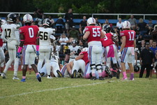 Enlarge photo 250