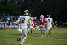 Enlarge photo 286
