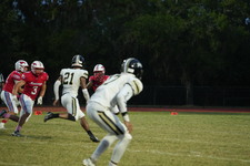 Enlarge photo 399