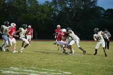 Enlarge photo 409