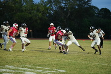 Enlarge photo 410
