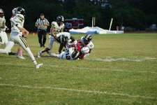 Enlarge photo 419