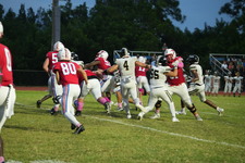 Enlarge photo 447