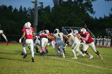 Enlarge photo 451