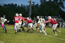 Enlarge photo 455