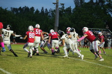 Enlarge photo 457