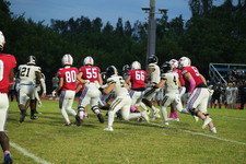 Enlarge photo 459