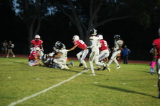 Enlarge photo 474