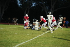 Enlarge photo 475
