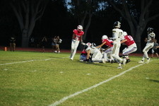 Enlarge photo 479