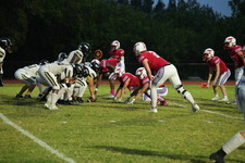 Enlarge photo 481