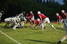 Enlarge photo 482