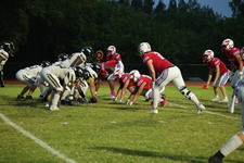 Enlarge photo 483