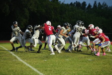 Enlarge photo 486
