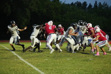 Enlarge photo 487