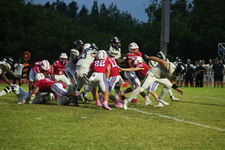 Enlarge photo 491