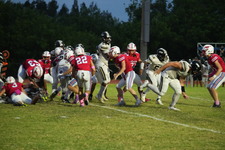 Enlarge photo 493