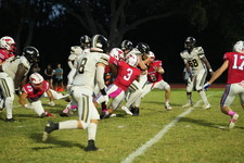 Enlarge photo 511