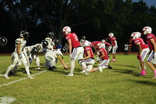 Enlarge photo 534
