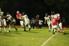 Enlarge photo 992