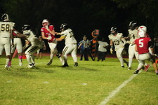 Enlarge photo 990