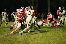 Enlarge photo 1210