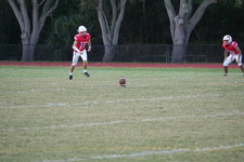 Enlarge photo 95