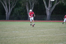 Enlarge photo 102
