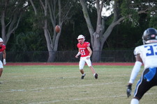 Enlarge photo 115