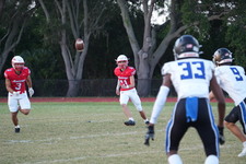 Enlarge photo 119