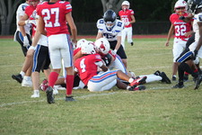 Enlarge photo 121