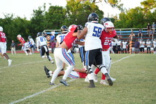 Enlarge photo 133