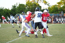 Enlarge photo 135