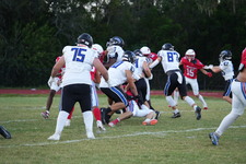 Enlarge photo 140