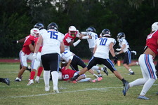 Enlarge photo 141
