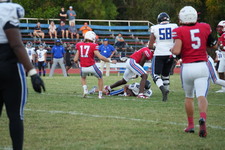 Enlarge photo 146