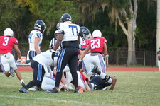 Enlarge photo 149