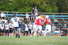 Enlarge photo 153